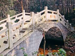 -潜山国家森林公园