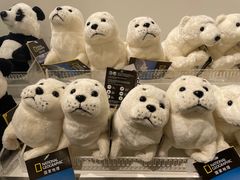 -X11(北京首开熙悦龙湖天街龙湖店)