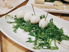 -清真军邺·金富苑肥牛(石坡街旗舰店)