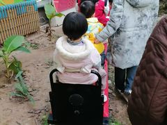 -呀路古热带植物园