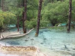 -黄龙山原始森林景区