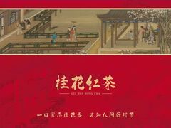 -宋宴(虎跑店)