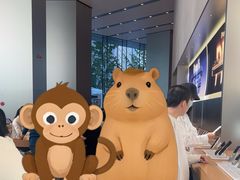 -Apple零售店(华贸购物中心店)