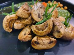 羞羞的蘑菇拳-烛影拾光观景餐厅·创意菜·摄影·小提琴(大唐不夜城店)