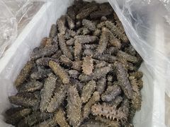 -宫品海参专卖店(静安大宁店)