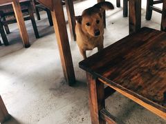 大堂-香竹农庄•传统竹筒饭(十年店)
