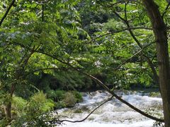 -高荡千年布依古寨旅游景区