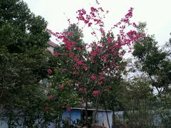 -龟场私房菜