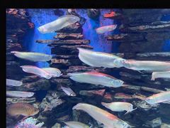 -多彩贵州城极地海洋世界