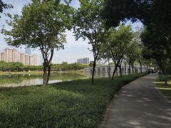 -顺峰山公园