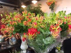 -双季花艺园艺市场(浦东店)
