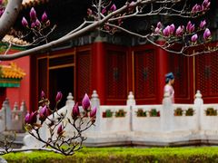 -故宫博物院(故宫)