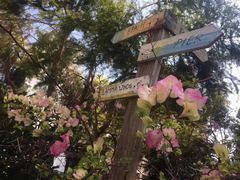 -南丫岛