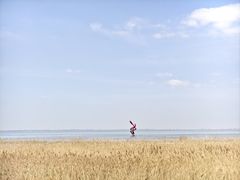 -哈素海