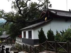 -牛背梁国家森林公园