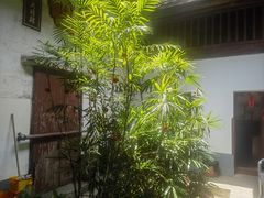 -董府·古宅餐厅