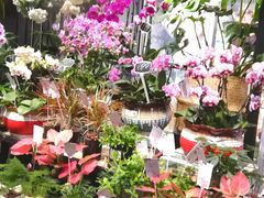-豆豆花艺(新光天地店)