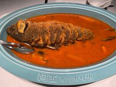红烧黄河鲤鱼-阿五黄河大鲤鱼(英协路店)