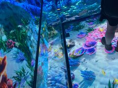 -烟台海昌鲸鲨海洋公园