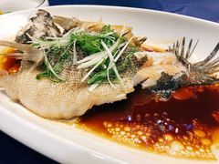 清蒸笋壳鱼-九朝会昆曲·宴(望京店)