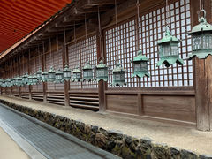 -奈良公园