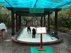-龙达温泉生态城