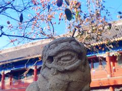 -北京石刻艺术博物馆(五塔寺)