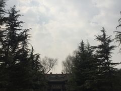 -迎泽公园