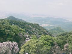 -梧桐山风景名胜区
