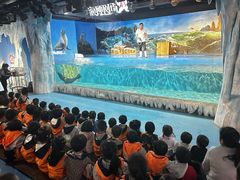 -上海贝贝佳幼儿园