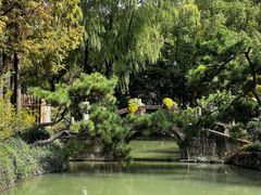 -上海醉白池公园