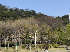-飞凤山奥体公园