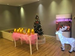 -纤姿俪纳产后恢复连锁机构(世纪东方广场店)