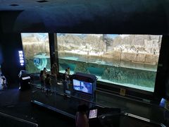 -成都浩海立方海洋公园