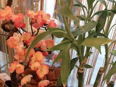 -手功王养生·足疗按摩·SPA·采耳(天府路店)