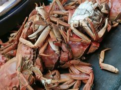 蒸汽海鲜-乔哥铭洋海鲜自助(皇城恒隆广场店)