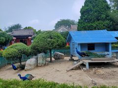 -有喜胶东小馆(太申祥和店)