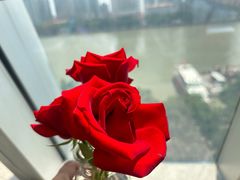 -桃花江餐厅·江景-约会·聚会