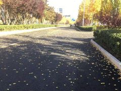 -中关村生命科学园