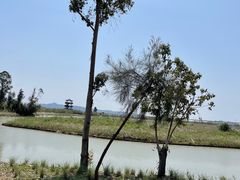 -漩门湾国家湿地公园