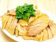 -渔洲头食苑·旦家园全笋宴农家乐