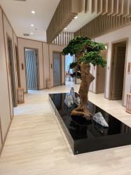 -HQ半永久纹绣纹眉