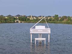 -杭州湾海上花田景区