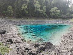-黄龙山原始森林景区