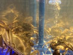 -锅儿欢海鲜火锅烤肉自助餐(东港凯虹店)