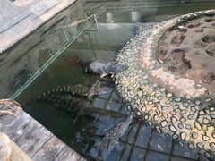 -石家庄市动物园