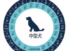 -瑞派天宁宠物医院·猫科·异宠中心