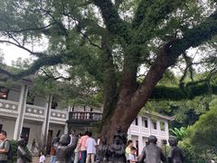 -蒋氏故居