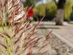 -西安市长乐公园