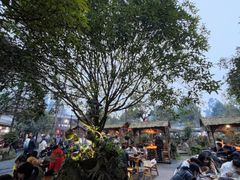 -青城甲(青城山店)